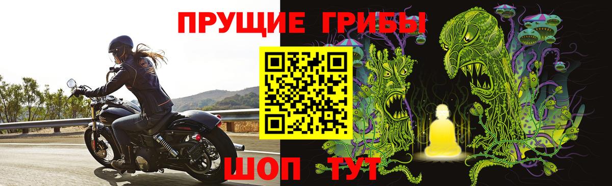 Галлюциногенные грибы прущие грибы  Галлюциногенные грибы Psilocybe  Вход с VPN  Шебекино 